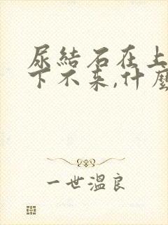 尿结石在上端,下不来,什么原因