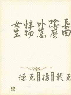 女性外阴长肉赘生物怎么回事