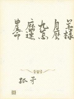 农历九月羊女的命运怎么样