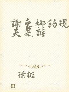 谢东娜的现任丈夫是谁