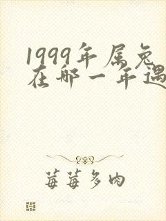 1999年属兔在哪一年遇到正缘