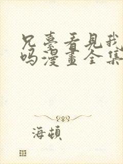 兄台看见我弟了吗漫画全集免费观看