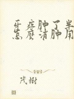 牙疼肿了半边脸怎么消肿用什么药