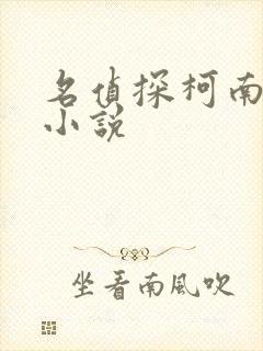 名侦探柯南黄文小说封面