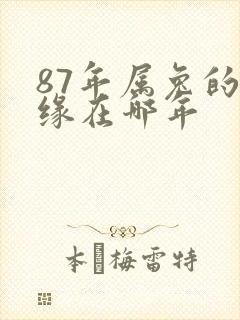 87年属兔的姻缘在哪年