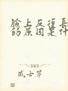 脸上反复长痘痘的原因是什么封面