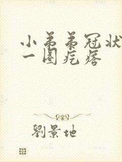 小弟弟冠状沟有一圈疙瘩