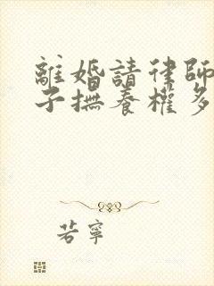 离婚请律师要孩子抚养权多少钱