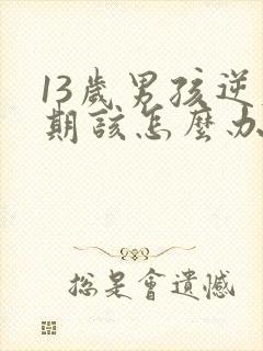 13岁男孩逆反期该怎么办