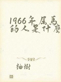 1966年属马的人是什么命运