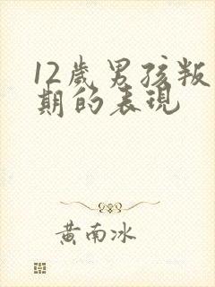 12岁男孩叛逆期的表现