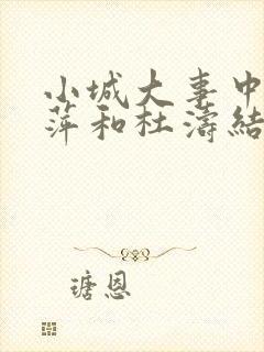 小城大事中李秋萍和杜涛结局封面