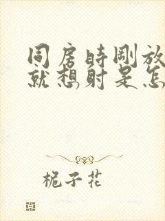 同房时刚放进去就想射是怎么回事