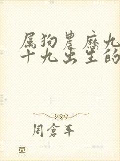 属狗农历九月二十九出生的人命运怎么样