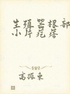 生殖器根部有一小片疙瘩