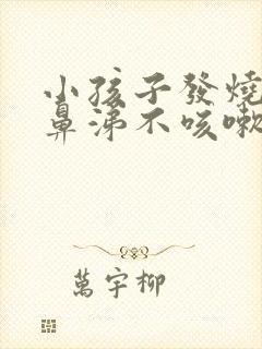 小孩子发烧不流鼻涕不咳嗽吃什么药