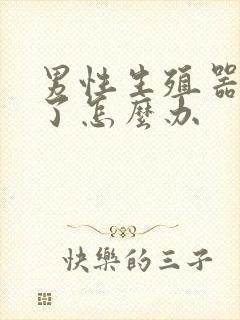 男性生殖器硬不了怎么办