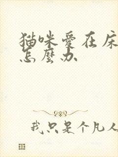 猫咪爱在床上尿怎么办封面