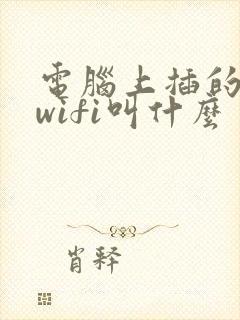 电脑上插的无线wifi叫什么