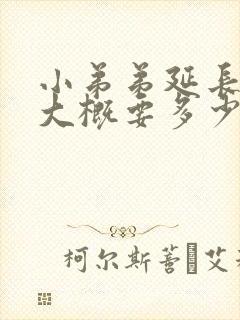 小弟弟延长手术大概要多少钱