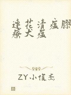 连花清瘟胶囊治疗犬瘟封面