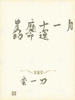 农历十一月十一的命运封面