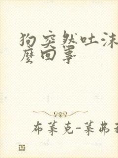 狗突然吐沫子怎么回事