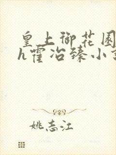 皇上御花园hlh霍冶臻小说封面