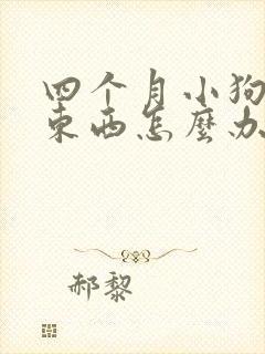 四个月小狗不吃东西怎么办