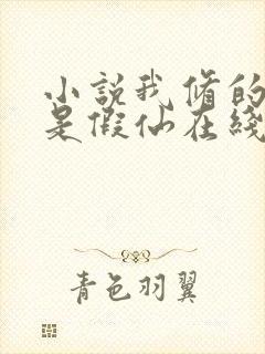 小说我修的可能是假仙在线阅读