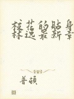 校花的贴身高手林逸最新章节免费封面