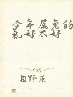 今年属兔的人运气好不好封面