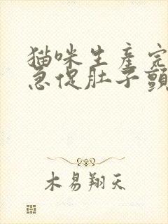 猫咪生产完呼吸急促肚子颤动怎么回事