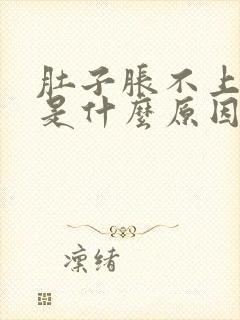 肚子胀不上厕所是什么原因