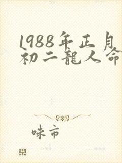 1988年正月初二龙人命运如何封面