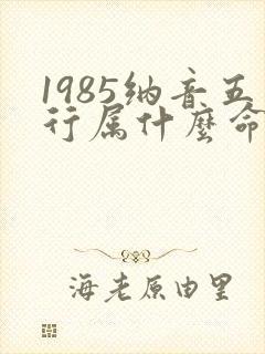 1985纳音五行属什么命