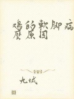 鸡的软脚病是什么原因