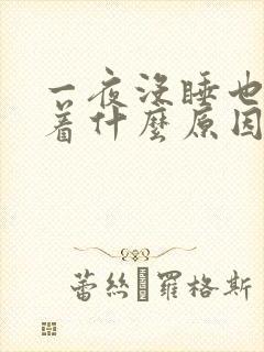 一夜没睡也睡不着什么原因