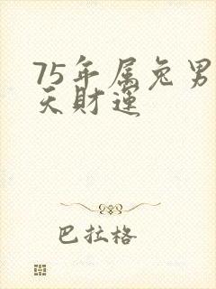 75年属兔男今天财运封面