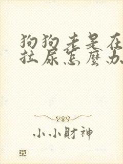 狗狗老是在家乱拉尿怎么办