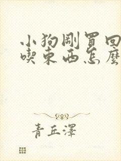 小狗刚买回来不吃东西怎么办封面