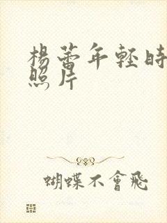 杨蕾年轻时候的照片封面