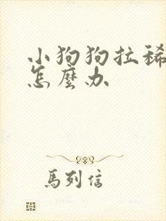 小狗狗拉稀带血怎么办封面