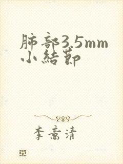 肺部3.5mm小结节