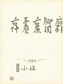 右手右脚麻木是什么原因引起的封面