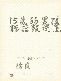 15岁的男孩不听话叛逆怎么办封面