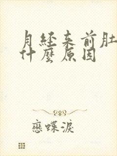 月经来前肚子痛什么原因