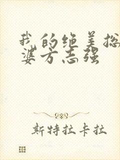 我的绝美总裁老婆方志强