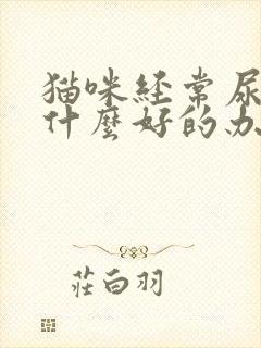 猫咪经常尿闭有什么好的办法吗