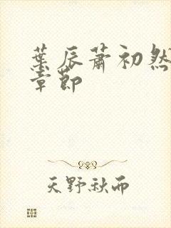 叶辰萧初然更新章节